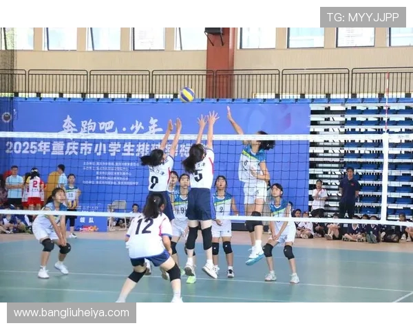 重庆排球队的整体压制打法深度分析与战术探讨