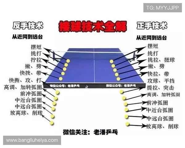 乒乓球技术与战术的完美结合:从基础动作到高级技巧的全面解析