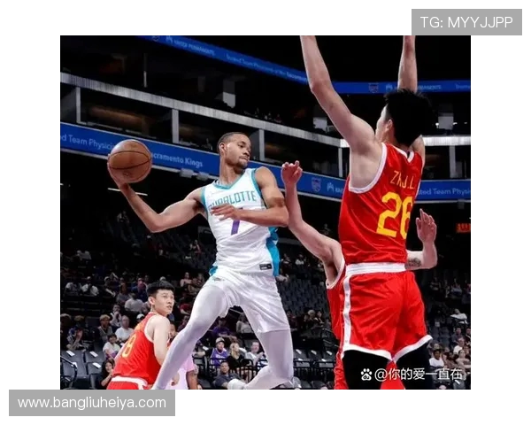 从篮球运动员成长之路看拼搏精神与团队力量的深度解析魅力展现篇