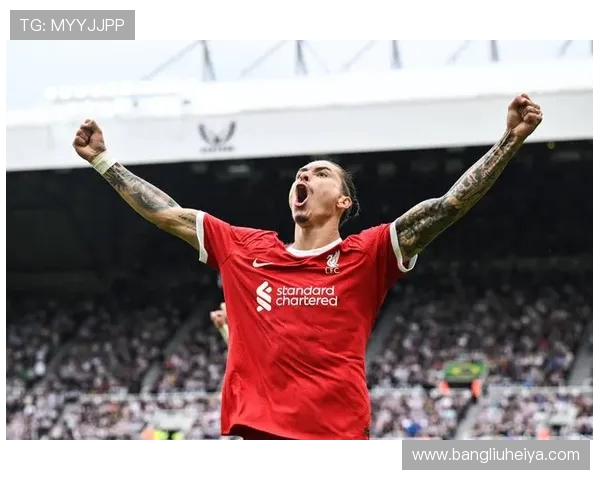 努涅斯在赛场上的崛起与挑战：从新星到球队核心的成长之路