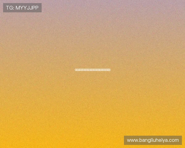 布里斯托与巴恩斯利的激烈对决揭示英冠赛季新动态