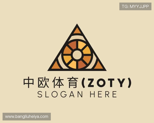 解读zoty中欧
